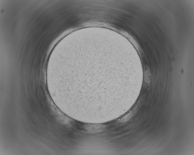 X0000081451150200702092243