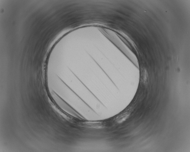 X0000081451151200702092243