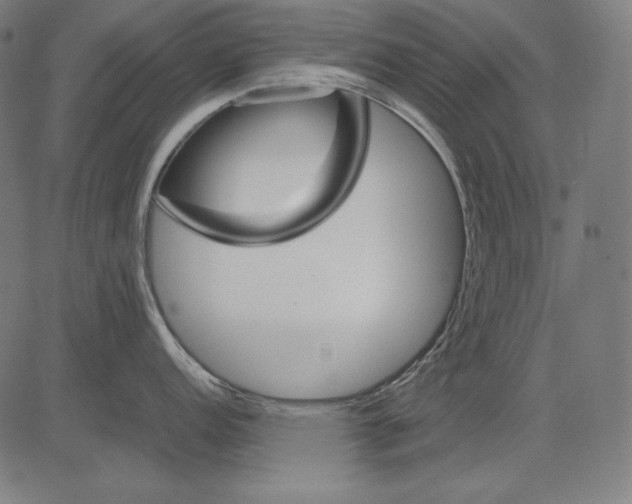 X0000081451152200702092243