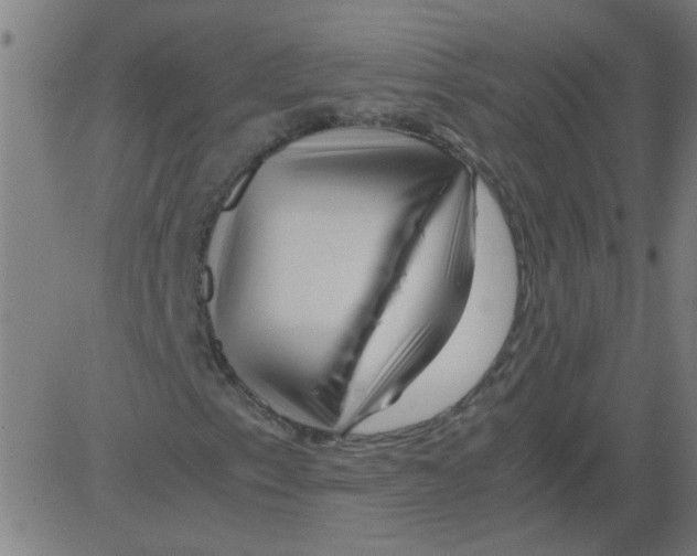 X0000081451153200702092242