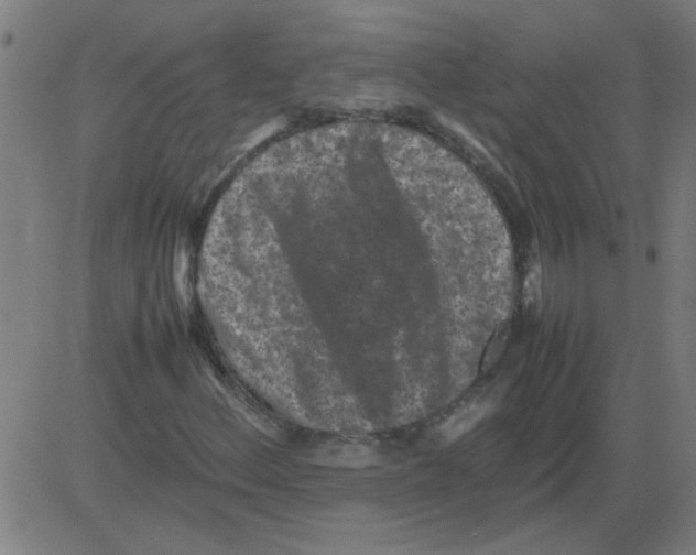 X0000081451156200702092242