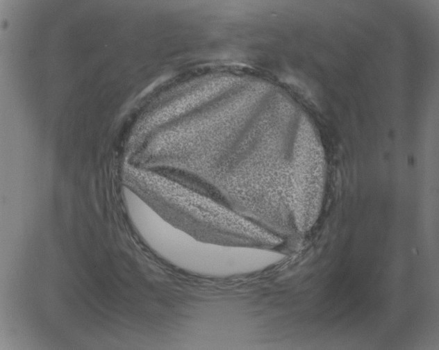 X0000081451159200702092242