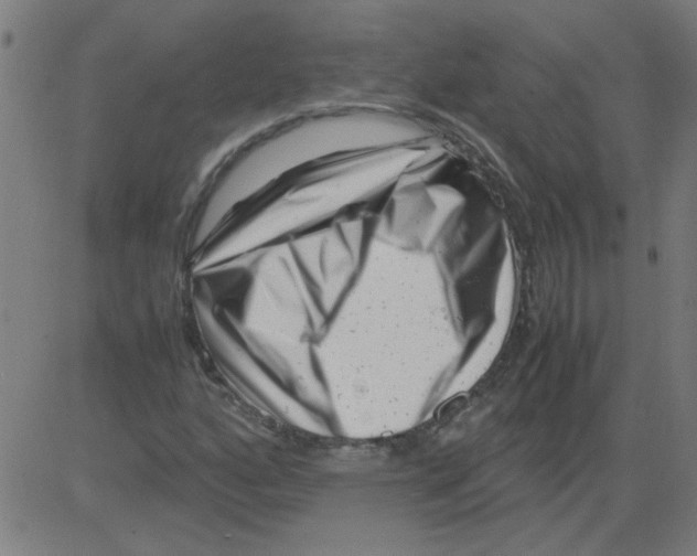 X0000081451160200702092242