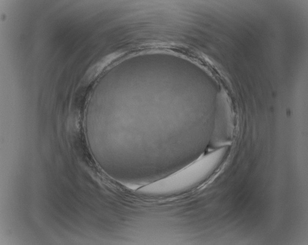 X0000081451161200702092242