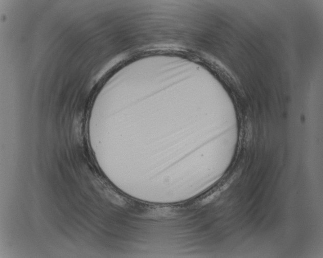 X0000081451162200702092242