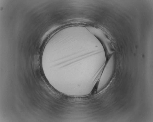 X0000081451164200702092242