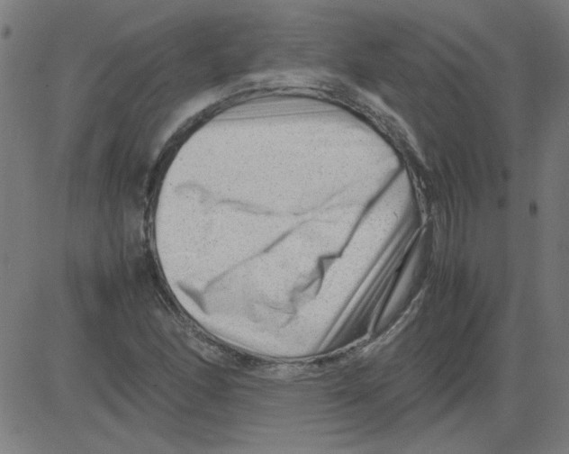 X0000081451166200702092242
