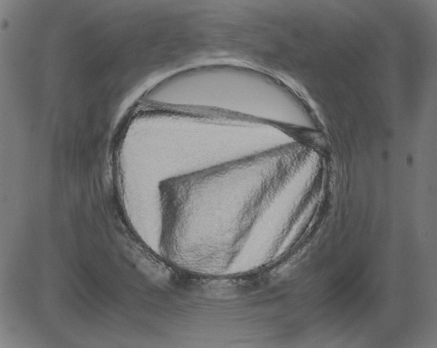 X0000081451167200702092242