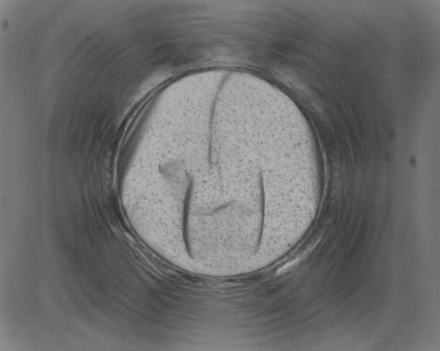 X0000081451170200702092242