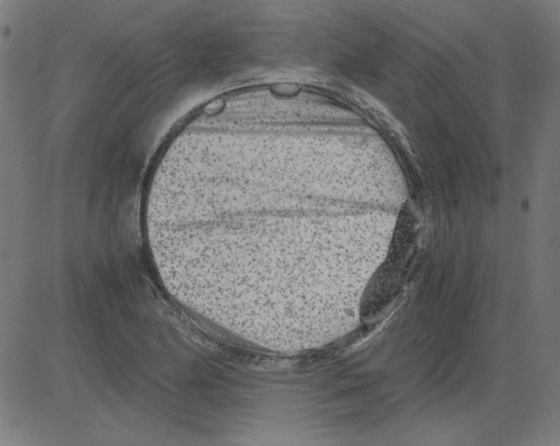 X0000081451174200702092242