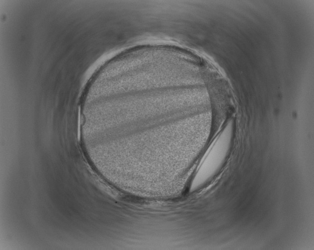 X0000081451175200702092242
