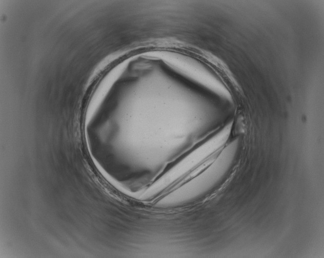 X0000081451176200702092242