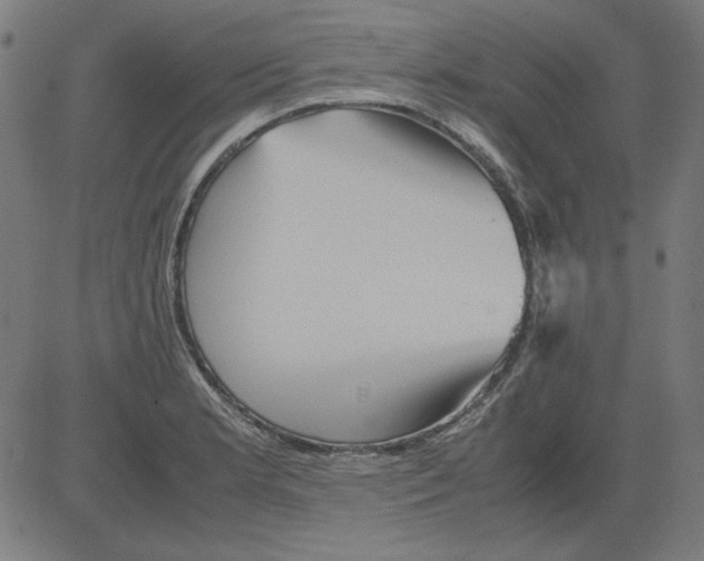 X0000081451181200702092242