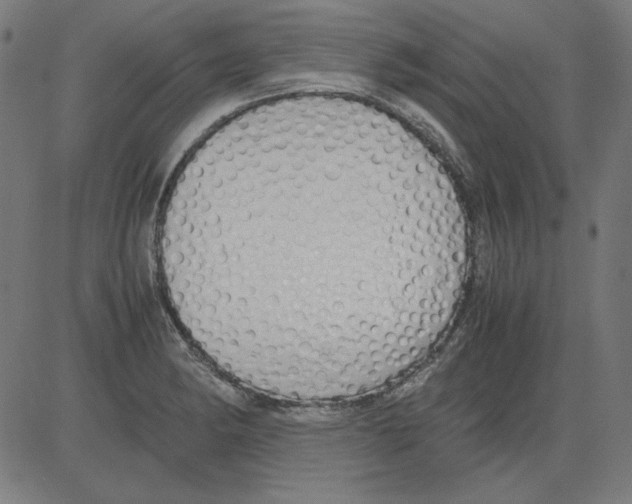 X0000081451182200702092242