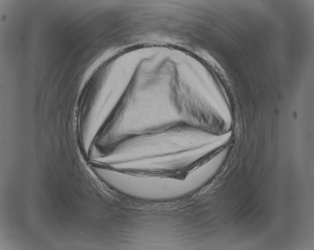 X0000081451183200702092242