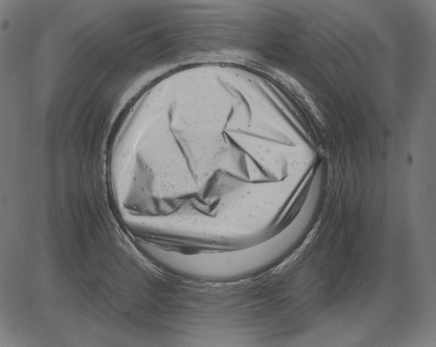 X0000081451184200702092242