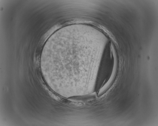 X0000081451185200702092242