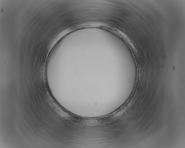 X0000081451186200702092242