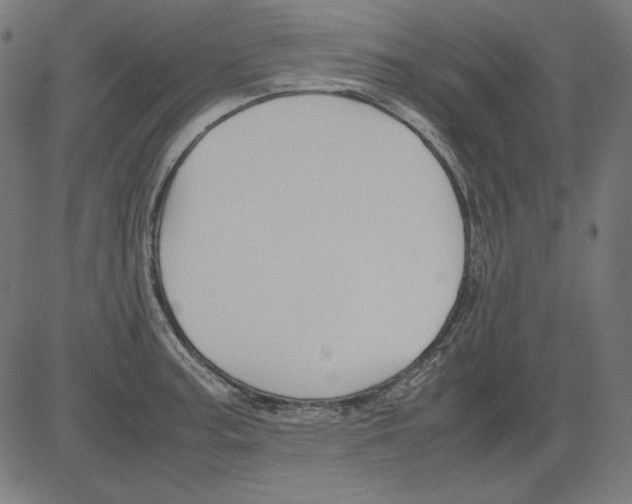 X0000081451187200702092242
