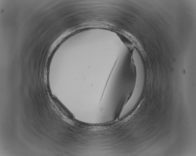 X0000081451188200702092242