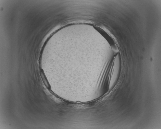 X0000081451189200702092242