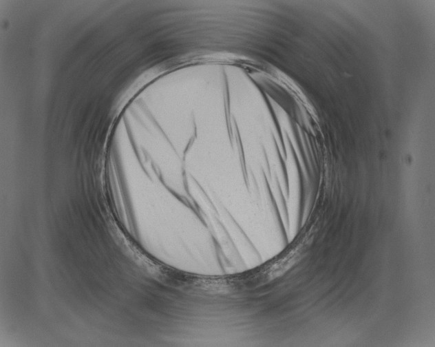 X0000081451194200702092242