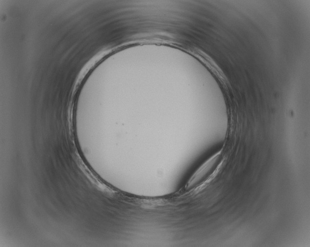 X0000081451196200702092242