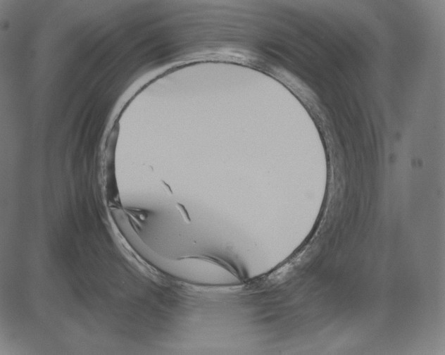 X0000081451200200702092242
