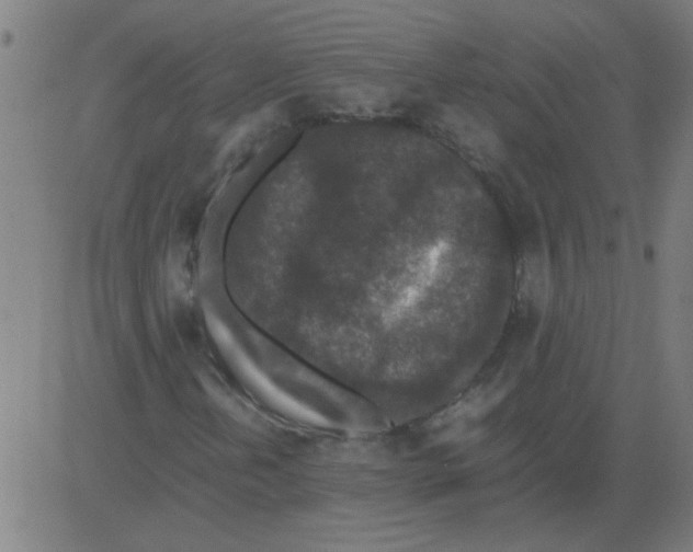 X0000081451202200702092241