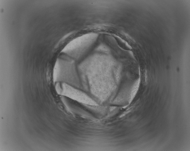 X0000081451206200702092241