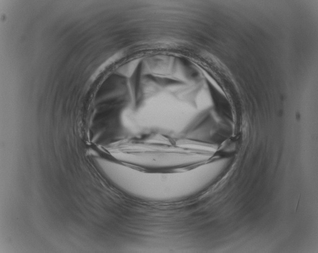 X0000081451210200702092241