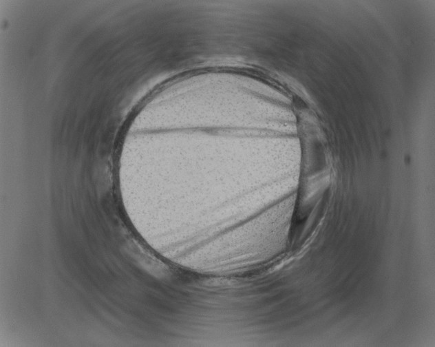X0000081451212200702092241