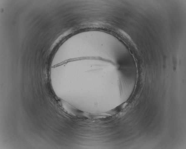X0000081451218200702092241