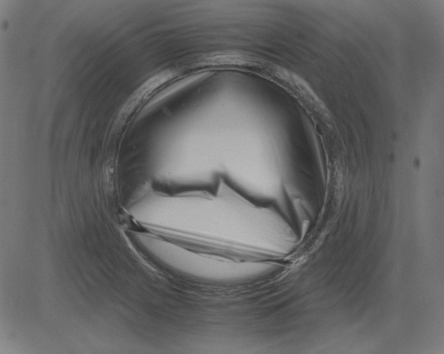 X0000081451225200702092241