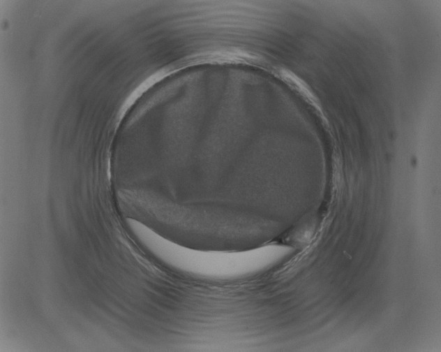 X0000081451226200702092241