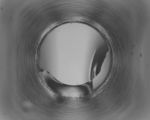X0000081451234200702092241