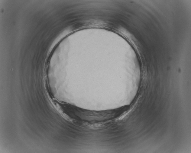 X0000081451235200702092241