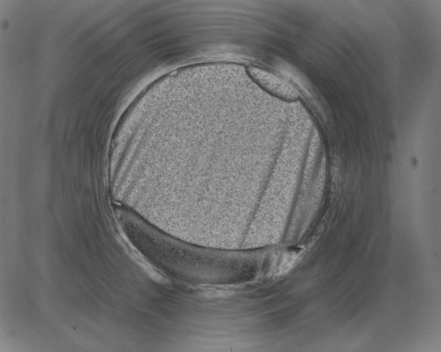 X0000081451236200702092241