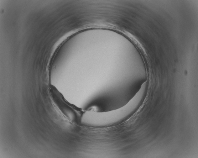 X0000081451238200702092242