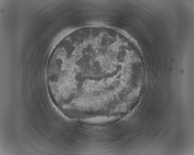 X0000081451239200702092242