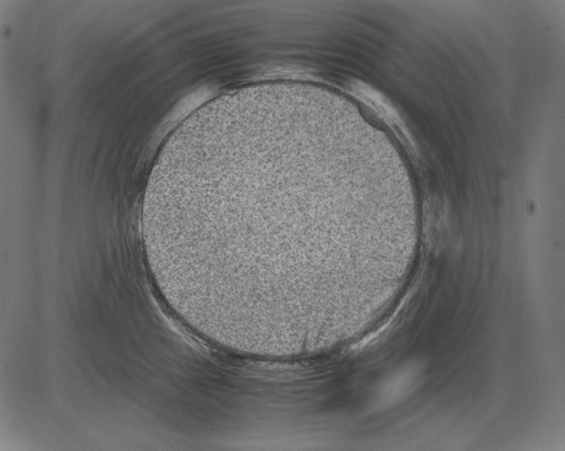 X0000081451241200702092242