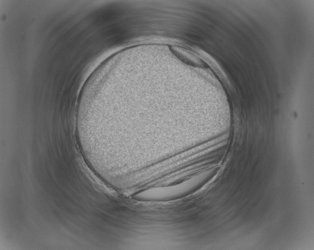 X0000081451244200702092242