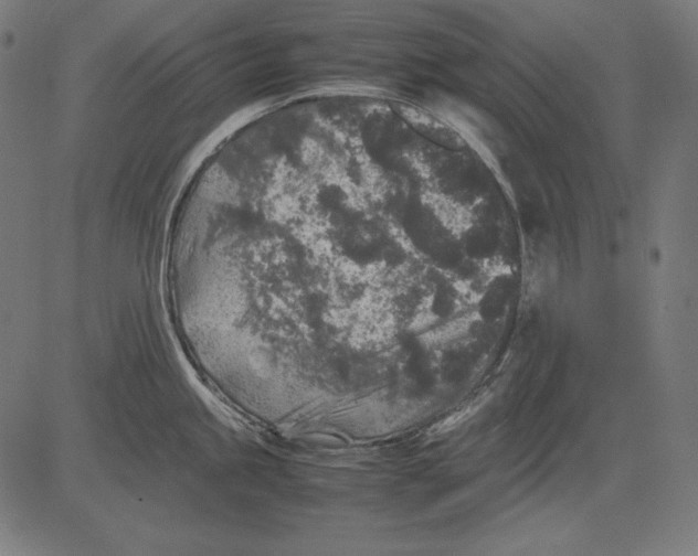 X0000081451245200702092242