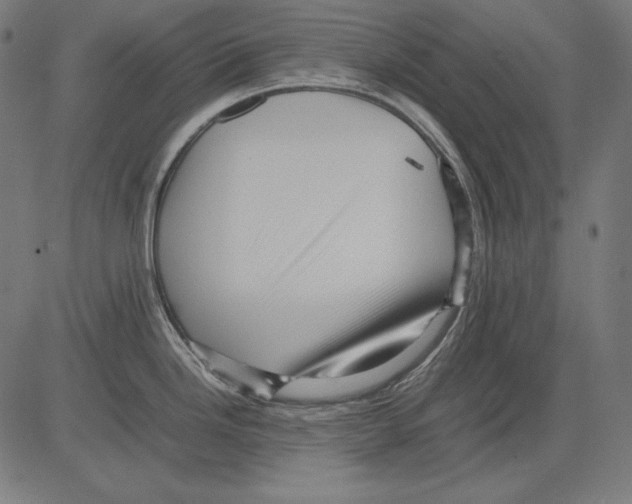 X0000081451246200702092242