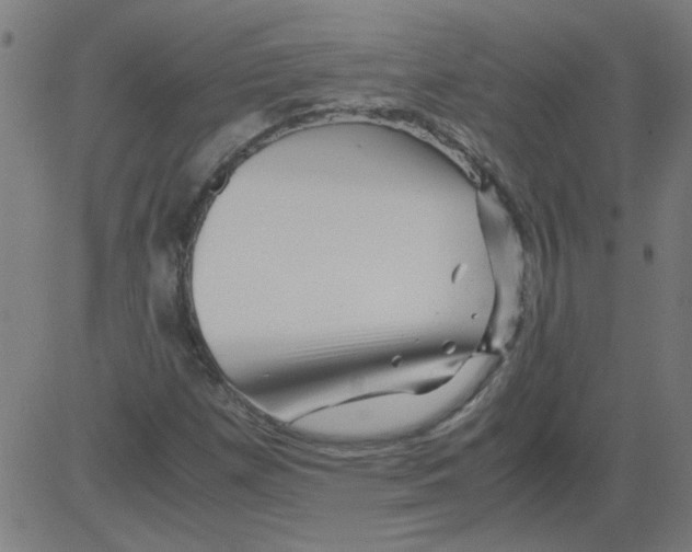 X0000081451257200702092241
