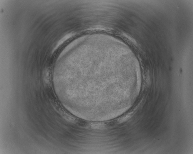 X0000081451258200702092241