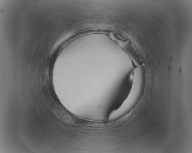 X0000081451261200702092241