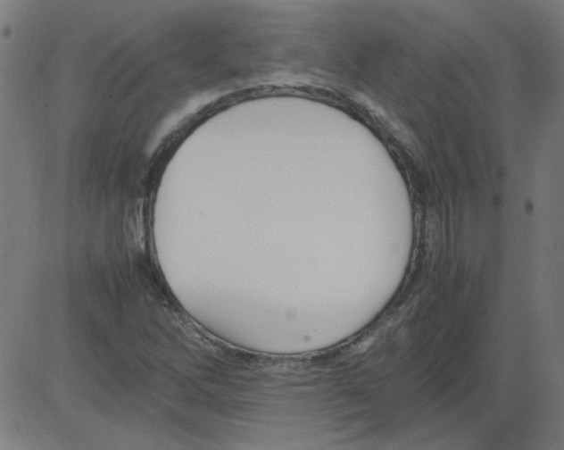 X0000081451262200702092241