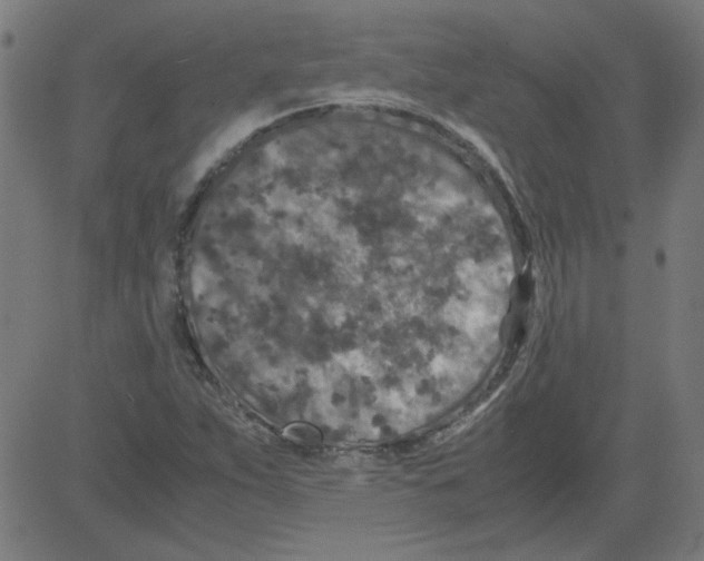 X0000081451263200702092241