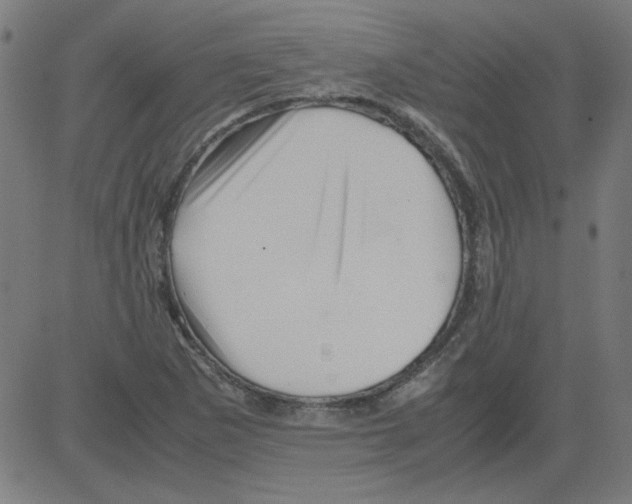 X0000081451265200702092241